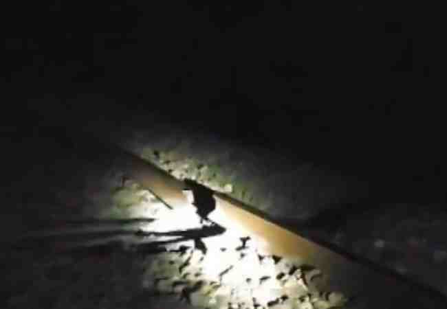 Assam: IED blast on railway track disrupts train services